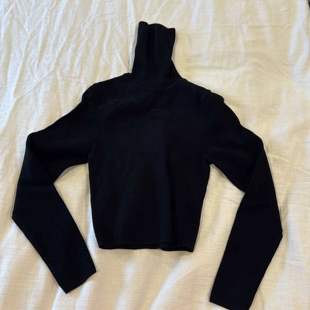 Cropped Zara turtleneck underlayer